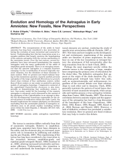 Evolution and homology of the astragalus in early amniotes: New