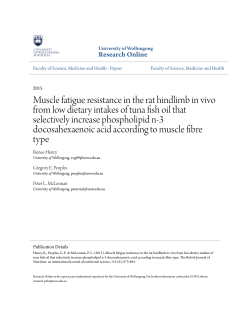 Muscle fatigue resistance in the rat hindlimb in