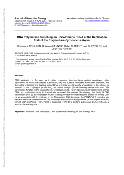 DNA Polymerase Switching on Homotrimeric - Archimer