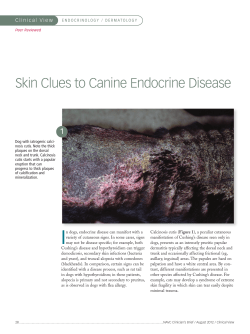 skin Clues to Canine endocrine disease