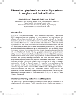 Alternative cytoplasmic male