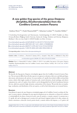 A new golden frog species of the genus Diasporus