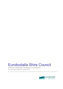 Special Purpose Financial Statements for 2014-15