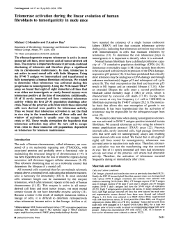 Telomerase activation during the linear evolution