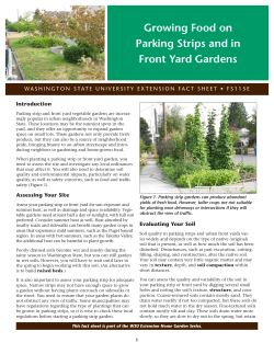 Growing Food on Parking Strips and in Front Yard