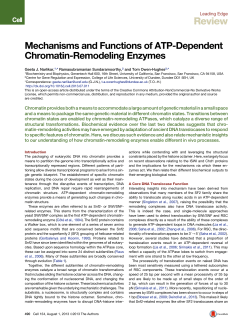 Mechanisms and Functions of ATP