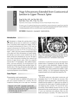Huge Schwannoma Extended from Craniocervical Junction to Upper