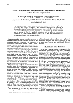 Active Transport and Enzymes of the Erythrocyte Membrane under