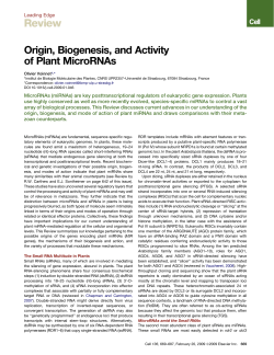 Origin, Biogenesis, and Activity of Plant MicroRNAs