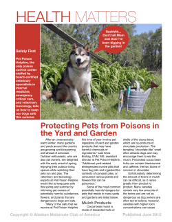Health Matters &ndash; Protecting Pets from Poisons in the Yard and Garden