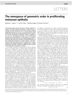 pdf - Computer Science