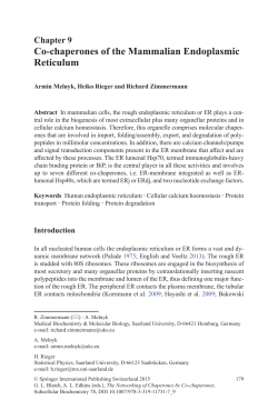 Co-chaperones of the Mammalian Endoplasmic Reticulum