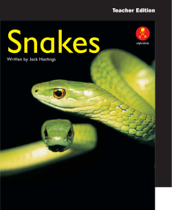 Snakes - Alpha Literacy