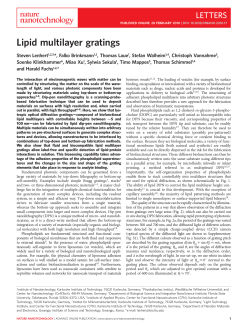 Lipid multilayer gratings - FSU Biology