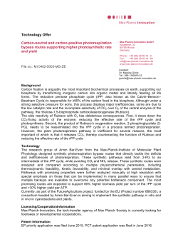 Carbon-neutral and carbon-positive photorespiration bypass routes