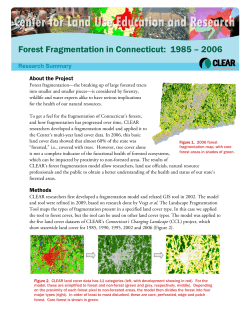 Forest Fragmentation Research Summary