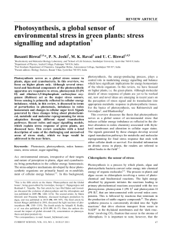 Photosynthesis, a global sensor of environmental stress in green