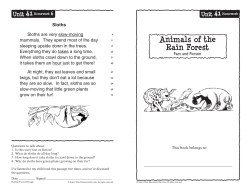 Animals of the Rain Forest