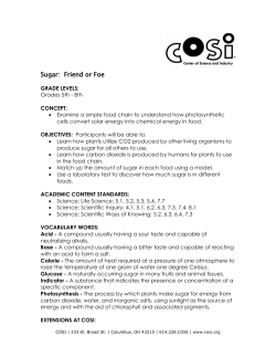 Sugar: Friend or Foe