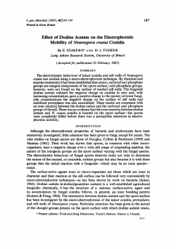 Effect of Dodine Acetate on the Electrophoretic