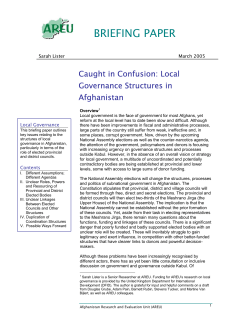 Caught in Confusion: Local Governance