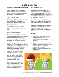 Muscle vs Fat Handout - nutritioneducationstore.com | Nutrition
