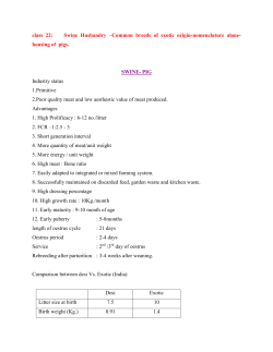 Swine Husbandry - Development of e