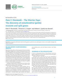 Piotr P. Slonimski &ndash; The Warrior Pope: The discovery of
