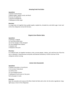 Amazing Fresh Fruit Salsa Organic Lime