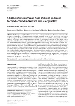 Characteristics of weak base-induced vacuoles formed around
