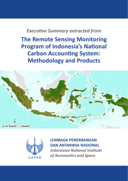 The Remote Sensing Monitoring Program of Indonesia`s