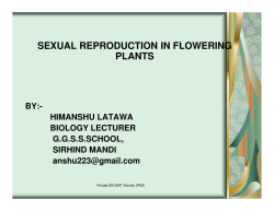 sexual reproduction in flowering plants
