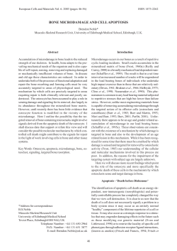 bone microdamage and cell apoptosis