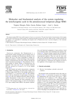 Molecular and biochemical analysis of the system regulating the lytic