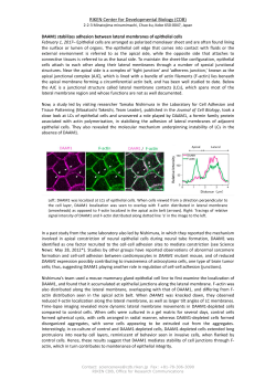 RIKEN Center for Developmental Biology (CDB)