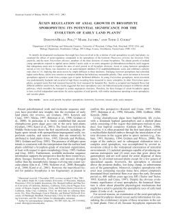 auxin regulation of axial growth in bryophyte sporophytes
