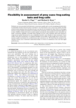 Flexibility in assessment of prey cues: frog