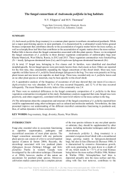 The fungal consortium of Andromeda polifolia in
