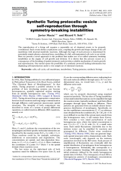 Synthetic Turing protocells: vesicle self
