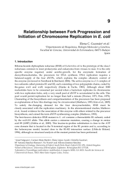 Relationship between Fork Progression and Initiation
