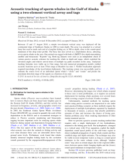 Depth and range tracking of sperm whales