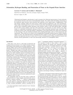 Orientation, Hydrogen Bonding, and Penetration of Water at the