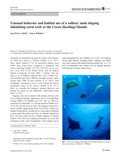 Unusual behavior and habitat use of a solitary - Jean
