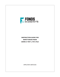 Instruction guide for remittances made using a text file