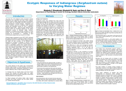 Example 4 - Southern Illinois University