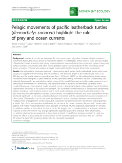 Pelagic movements of pacific leatherback turtles (dermochelys