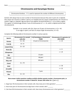 Chromosome and Karyotype Review