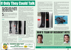 Splints and sore shins