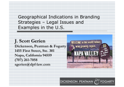 Geographical Indications in Branding Strategies