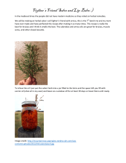 Fighter`s Friend Salve and Lip Balm :)